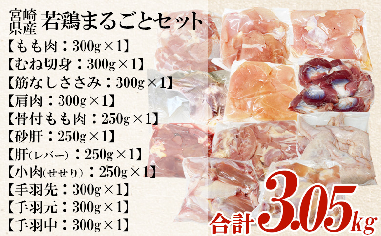 ＜宮崎県産若鶏まるごとセット 約3.05kg＞ 国産 もも肉 モモ ささみ ムネ肉 【MI443-tr】【TRINITY】
