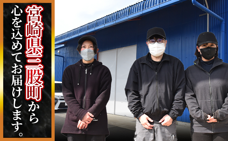 ＜宮崎県産豚肉切り落とし2.5kg 真空パック＞ 国産 豚 ぶた肉 ぶた 精肉 肉 切落し 小分け 個包装 使い勝手 料理 豚丼 豚汁 おかず  BBQ特集 【MI448-hr】【肉の豊楽】