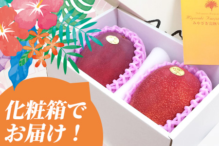 ＜【先行予約】【期間数量限定】2026年5月より順次発送 宮崎県産完熟マンゴー2L 2玉化粧箱入＞(2玉入り)【MI515-yk】【みまたんよかもん協同組合】 2L 2玉 化粧箱入