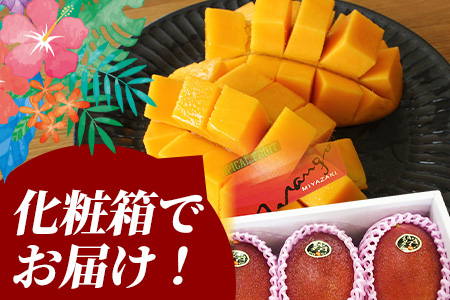 ＜【先行予約】【期間数量限定】2026年5月より発送 宮崎県産完熟マンゴー 太陽のタマゴ＞(3L以上×2玉)【MI518-yk】【みまたんよかもん協同組合】 3L以上×2玉	