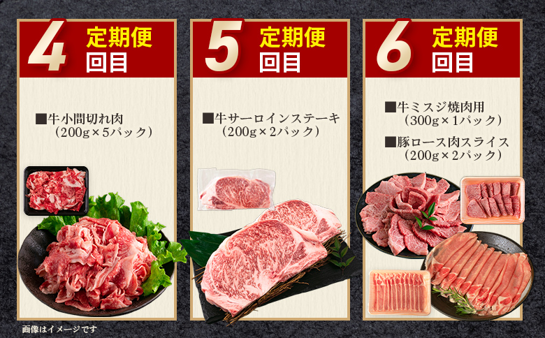 ＜【定期便全6回連続】宮崎牛と豚・鶏 食べ比べセット 約8.3kg＞ 【MI633-mk】【まきの屋】