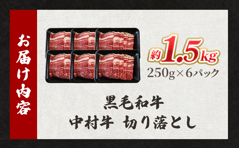 黒毛和牛 中村牛切り落とし 合計1.5kg(250g×6)   国産 九州産 脂身 牛肉 赤身 すき焼き 牛丼 肉じゃが プルコギ 煮込み 使いやすい 小分け 便利 こま切れ 牛こま コマ 小間 薄切り お肉 冷凍【MI643-jc】【Jコーポレーション】
