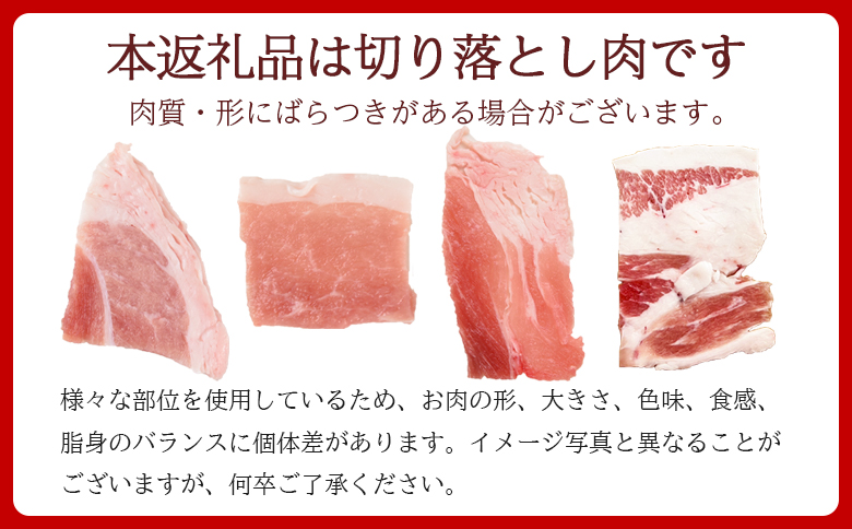 ＜豚肉切り落とし 2.1kg+マキシマムスパイス1本付き＞国産 九州産 精肉 小分け 小間切れ 豚こま【MI718-nk】【中村食肉】 2.1kg