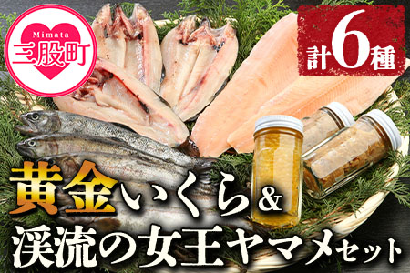 ＜黄金イクラと渓流の女王ヤマメ逸品セット＞(6種)黄金イクラやヤマメなどを詰め合せ！【B-0204-sk】【有限会社しゃくなげの森】