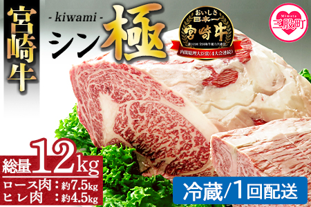 ＜宮崎牛『シン極(きわみ)』ロース肉約7.5kg、ヒレ肉約4.5kg (冷蔵・１回配送)＞ 国産ブランド牛 黒毛和牛【MI019-nk-c-01】【中村食肉】 【冷蔵】 1回配送 約12kg