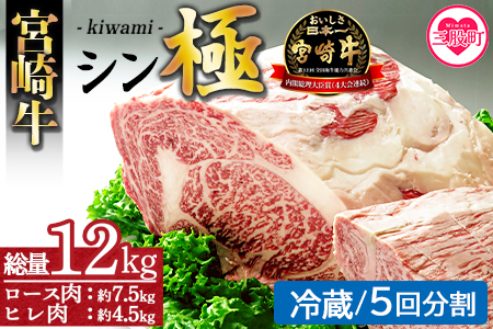 ＜宮崎牛『シン極(きわみ)』ロース肉約7.5kg、ヒレ肉約4.5kg (冷蔵・5回分割)＞ 国産ブランド牛 黒毛和牛【MI019-nk-c-05】【中村食肉】 【冷蔵】 5回配送 約12kg