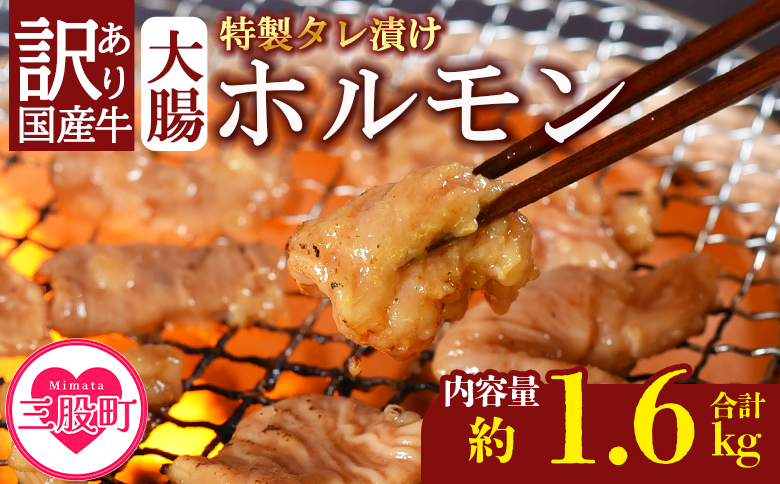 ＜【訳あり】国産牛ホルモン大腸（特製タレ漬け）計1.6kg(400g×4袋)＞大腸を秘伝の特製タレに漬け込みました！ BBQ特集 【MI024-nk-x1】【中村食肉】 計1.6kg(400g×4袋)
