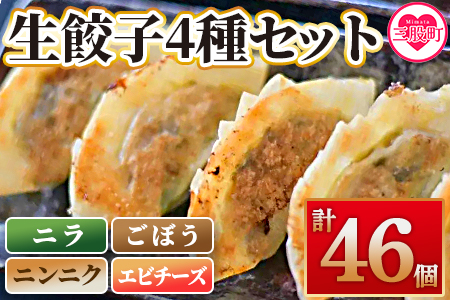 【数量限定！】＜福栄生餃子店餃子4種(ニラ・ごぼう・ニンニク・エビチーズ)セット＞【MI286-fu】【福栄生餃子店】