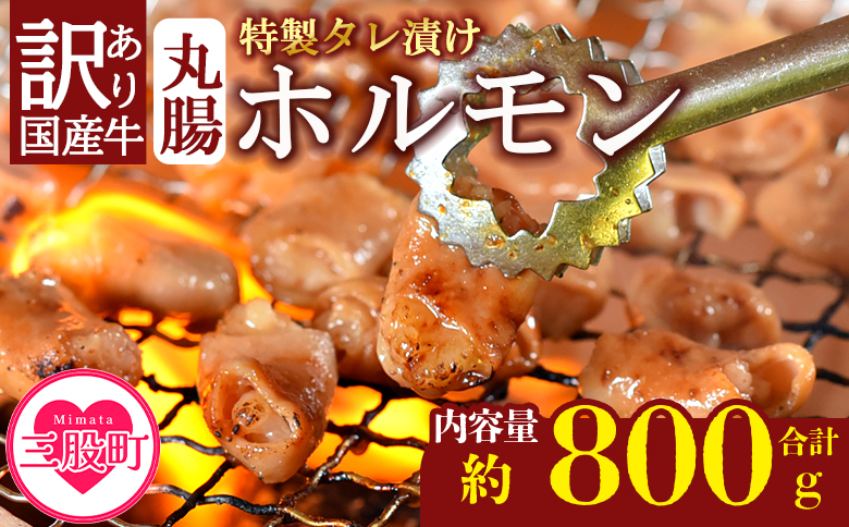 ＜【訳あり】国産牛ホルモン丸腸（特製タレ漬け）　計800g(400g×2袋)＞丸腸を秘伝の特製タレに漬け込みました！【MI425-nk】【中村食肉】 計800g(400g×2袋)