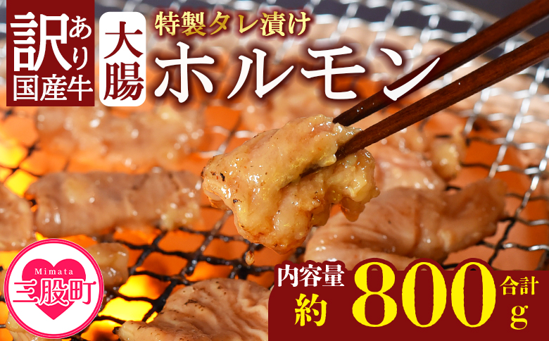 ＜【訳あり】国産牛ホルモン大腸（特製タレ漬け）計800g(400g×2袋)＞大腸を秘伝の特製タレに漬け込みました！【MI427-nk】【中村食肉】 計800g(400g×2袋)