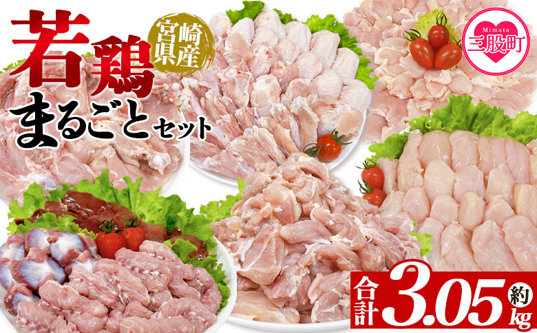 ＜宮崎県産若鶏まるごとセット 約3.05kg＞ 国産 もも肉 モモ ささみ ムネ肉 【MI443-tr】【TRINITY】