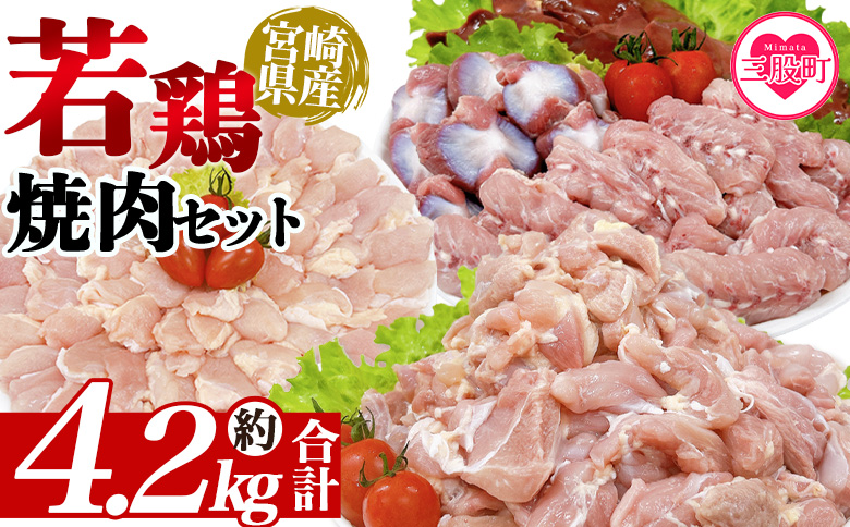 ＜宮崎県産若鶏焼肉セット 約4.2kg＞ モモ もも肉 ささみ せせり 手羽【MI445-tr】【TRINITY】
