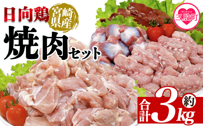 ＜宮崎県産日向鶏 焼肉セット 約3kg＞ 鶏もも せせり 鶏肉 【MI454-tr】【TRINITY】