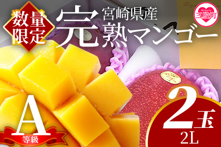 ＜【先行予約】【期間数量限定】2026年5月より順次発送 宮崎県産完熟マンゴー2L 2玉化粧箱入＞(2玉入り)【MI515-yk】【みまたんよかもん協同組合】 2L 2玉 化粧箱入