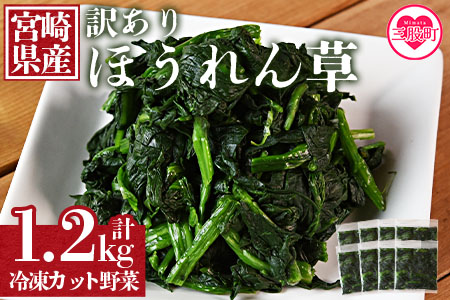 ＜【訳あり】冷凍ホウレンソウ 工場直送簡易包装 小分けパック150g×8袋＞冷凍野菜 カット野菜 小分け ホウレンソウ ストック 冷凍食品 時短 国産九州産 簡単 料理 調理 アレンジ 夕食 和食 和え物 お弁当 おかず 副菜【MI546-bk】【ベーカリー梅茂登】 1.2kg(150g×8)