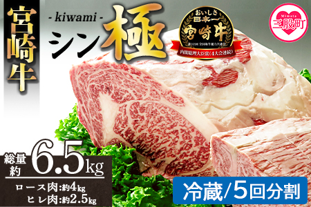 ＜宮崎牛『シン極(きわみ)』ロース肉約4kg、ヒレ肉約2.5kg (冷蔵・5回配送)＞ 国産ブランド牛 黒毛和牛【MI635-nk-c-05】【中村食肉】 【冷蔵】 5回配送 約6.5kg