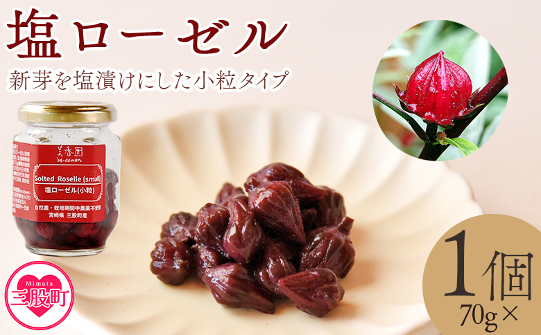 ＜塩ローゼル 【小粒】70g＞ 国産ハーブ【MI680-bi】【美香園】