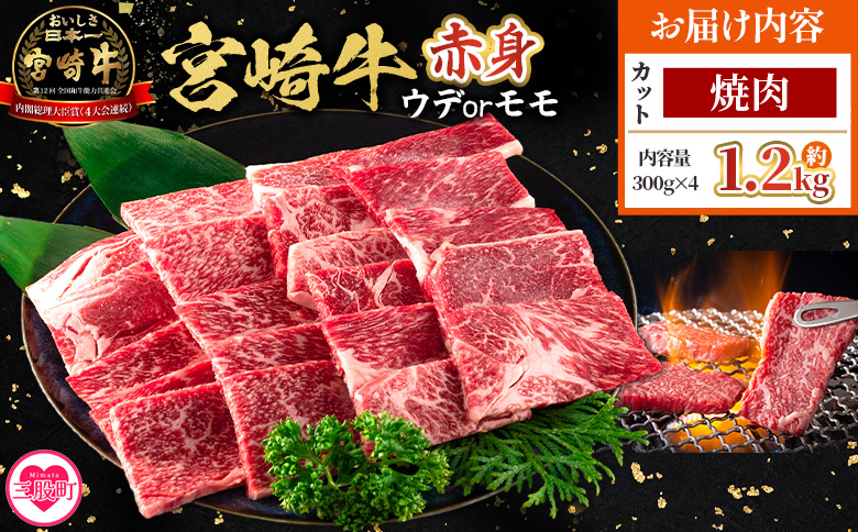 ＜宮崎牛赤身【焼肉】（ウデorモモ）1.2kg＞【3月発送】脂控えめ ヘルシー あっさり うで もも 炒め物 肉料理 ご馳走 国産 ブランド牛肉 黒毛和牛【MI684-my-mar】【ミヤチク】 【焼肉/1.2kg】3月発送