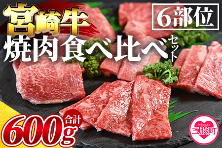 [3D冷凍宮崎牛焼肉食べ比べセット](合計600g)6肩ロース、バラ、モモ、ウデ、ロース、ヒレ各100gずつ! BBQ特集 [MI089-my][ミヤチク]