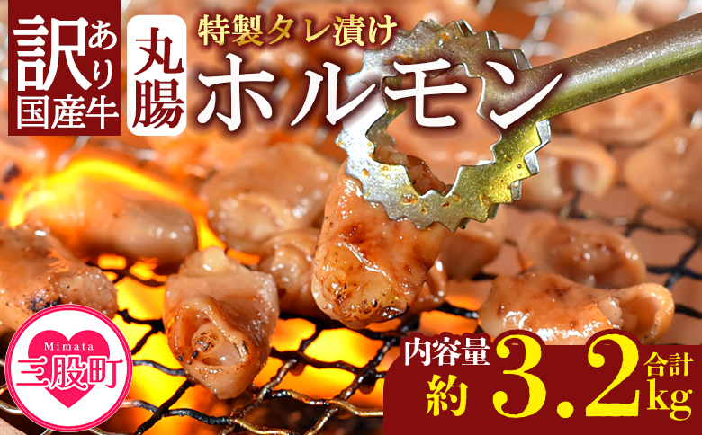 ＜【訳あり】国産牛ホルモン丸腸（特製タレ漬け）　計3.2kg(400g×8袋)＞丸腸を秘伝の特製タレに漬け込みました！【MI426-nk】【中村食肉】