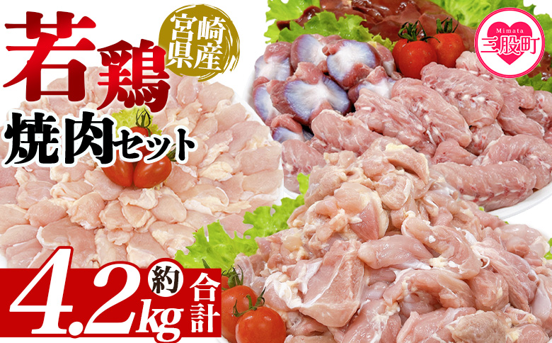 [宮崎県産若鶏焼肉セット 約4.2kg] モモ もも肉 ささみ せせり 手羽[MI445-tr][TRINITY]