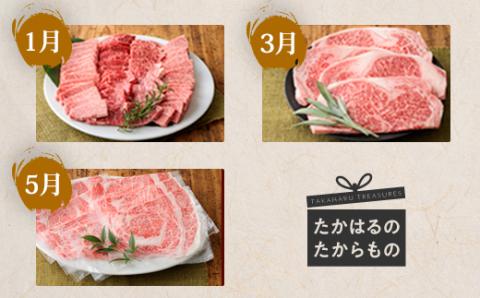 【定期便6回】宮崎牛たかはる定期便ハーフα(奇数月発送) 内閣総理大臣賞4大会連続受賞の黒毛和牛 [ブランド牛 国産牛 牛肉 お肉 1年間奇数月(12ヶ月) 6ヶ月 150000円 15万円 『おいしい特産品を詰め込んだ定期便特集』-宮崎県高原町] TF0309-P00020