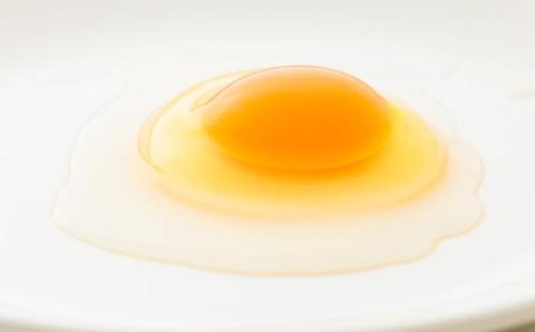 宮崎県産の赤たまご『きみの力(チカラ)』大容量75個Lサイズの赤卵 ミネラルたっぷりのカキガラや上質な飼料ですくすく育った鶏の卵は甘くておいしい逸品 [新鮮 たまご L玉 玉子 大玉 10000円 1万円 『返礼品特集20000円以下』-宮崎県高原町] TF0406-P00035