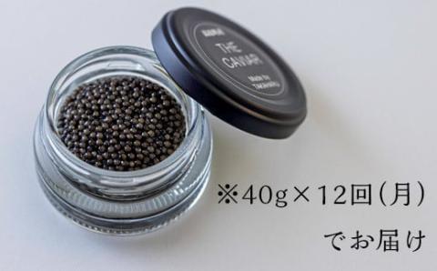 【定期便 12ヶ月】THE・CAVIAR(ザ・キャビア)40g [高級 国産 日本産 ギフト 贈答 贈り物 プレゼント お中元 化粧箱入り 1年間]  TF0497-P00066