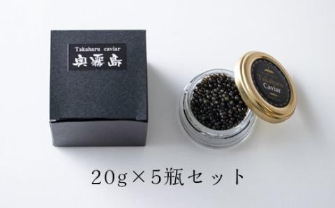 Takaharu Caviar(たかはるキャビア)『奥霧島』20g×5瓶セット [高級 国産 バエリ ギフト 贈答 贈り物 プレゼント 化粧箱付き いこいの家] TF0516-P00045