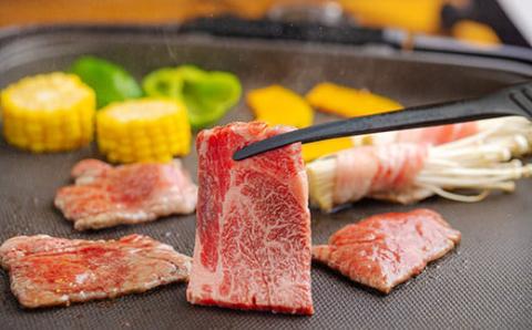 《A5・A4ランク》宮崎牛焼肉(うで肉) 約500g 内閣総理大臣賞受賞の黒毛和牛 [ブランド牛 牛肉] TF0568-P00012