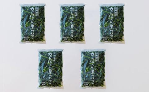 国産『冷凍ほうれん草』2.5kg(500g×5袋) グローバルGAP取得のホウレン草 時短調理につながる冷凍カット野菜 [法連草 法蓮草 『返礼品特集20000円以下』-宮崎県高原町] TF0477-P00019