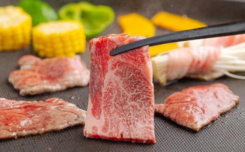 《A5・A4ランク》宮崎牛焼肉(肩ロース)約600g 内閣総理大臣賞受賞の黒毛和牛 [ブランド牛 牛肉] TF0573-P00012