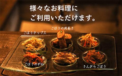 《大容量10kg》宮崎県産千切りごぼう 業務用規格の千切り午房【20パック】 TF0587-P00019