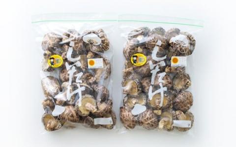 《有機JAS取得》肉厚!有機原木椎茸(薪室仕上げ) ひなたGAP取得の安全・安心のしいたけ [産地直送 産直 田中椎茸] TF0356-P00009