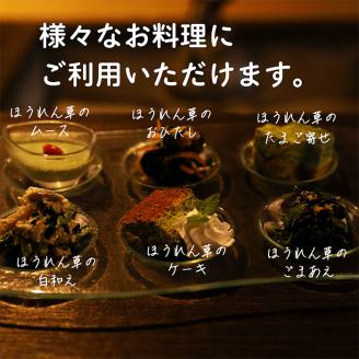 《大容量10kg》九州産 ほうれん草 業務用 冷凍法蓮草 [冷凍野菜 法連草] TF0590-P00019