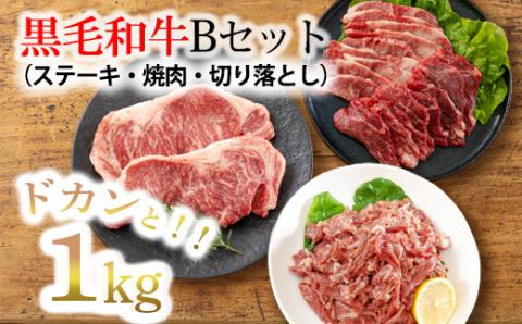《大容量》黒毛和牛Bセット(ステーキ・焼肉・切り落とし)3種で合計1kg 国産牛詰め合わせセット [赤身肉 牛肉 お肉 ステーキ 切り落とし 『返礼品特集20000円以下』-宮崎県高原町] TF0562-P00020