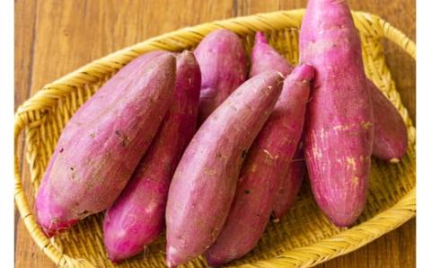 【令和７年産】高原町産 熟成紅はるか5kg（無選別） [さつまいも 焼き芋 べにはるか 大学芋 かりんとう 天ぷら 豚汁 長期熟成 糖度 無選別 産地直送 産直 5キロ 南九州産 宮崎県高原町産] TF0719-P00061