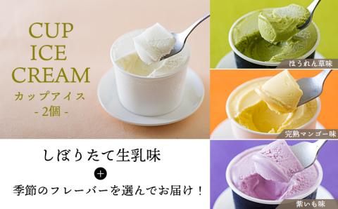 《宮崎県グルメコンテスト2連覇》高原アイスクリーム研究所のお楽しみCセット カップアイスやパフェ3種9個詰め合わせ [全国おやつランキング4位 スイーツ デザート ジェラート お菓子] TF0726-P00023