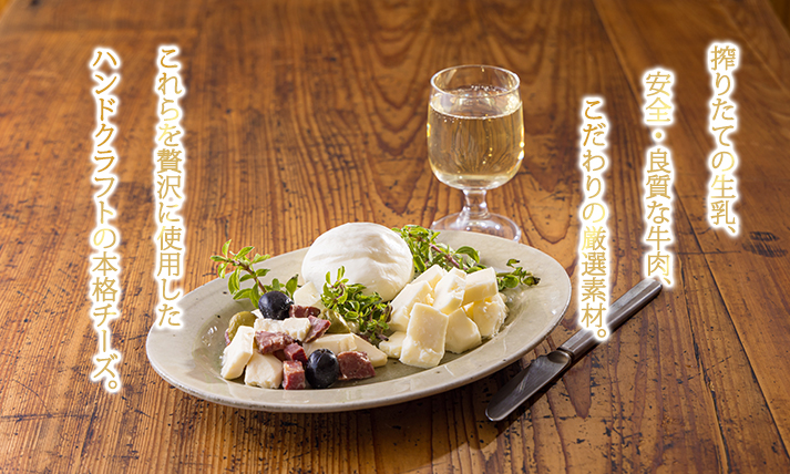 有田牧場直送 「チーズ工房フェルミエ自家製チーズの詰め合わせ」 [『返礼品特集20000円以下』-宮崎県高原町] TF0620-P00037