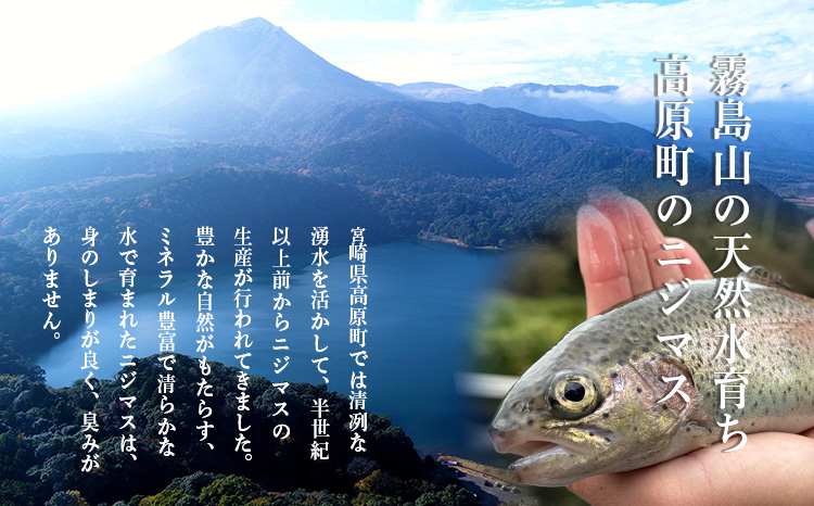 ニジマスの干物《奥霧島の山河の恵み》国産の天然塩と魚醤で味付けた川魚の開き 虹鱒 ひもの 無添加 おつまみ 焼魚 焼き魚 和食 日本食 干し魚 時短調理 鮎の代わりに! 冷凍食品TF0791-P00045