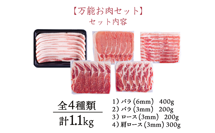 ソヤマポークの万能お肉セット[ロース バラ 肩ロース 焼肉 炒め物 生姜焼き用 バーベキュー 小分け 宮崎県産 豚肉]TF0831-P00078