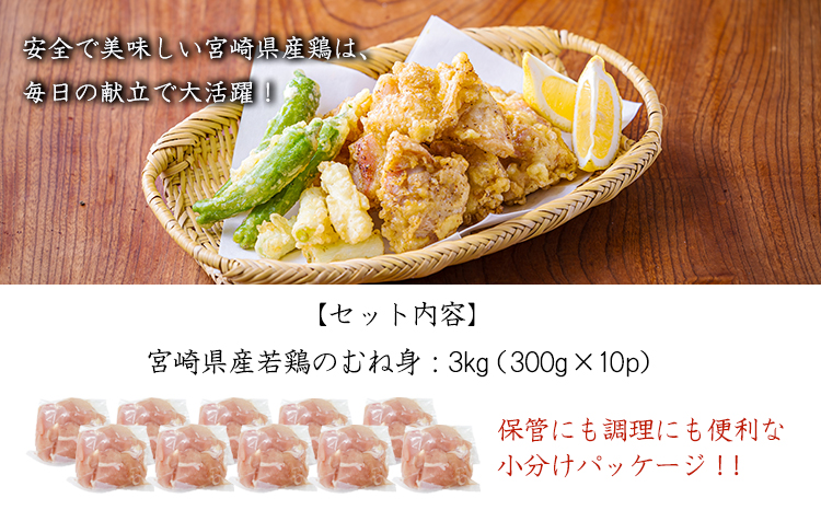 宮崎県産若鶏むね切身3.0kg（300g×10）TF833-P00063