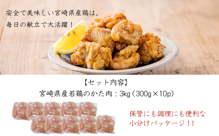 宮崎県産若鶏肩肉3.0㎏（300g×10）TF0836-P00063