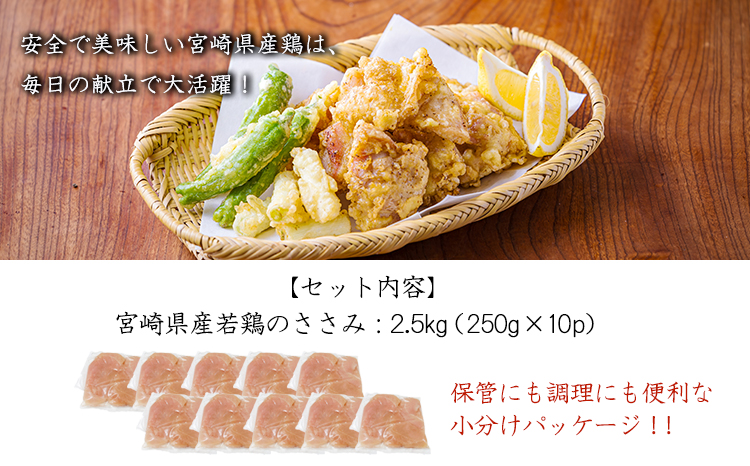 宮崎県産若鶏筋なしささみ2.5kg（250g×10）TF0839-P00063