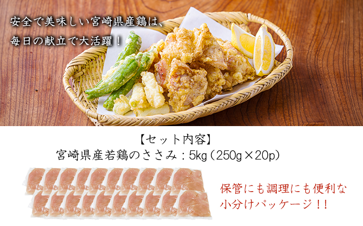 宮崎県産若鶏筋なしささみ5.0kg（250g×20）TF0840-P00063