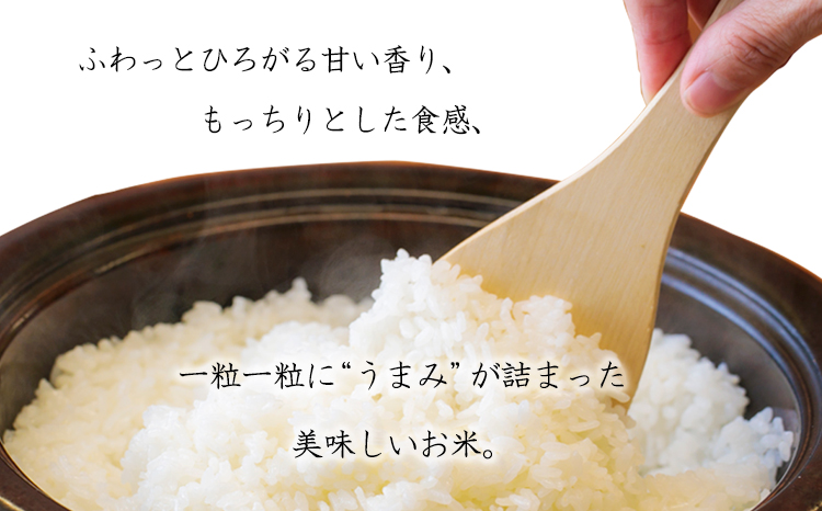 令和7年産 高原町産ヒノヒカリ5kg（無洗米）[数量限定 九州産 宮崎県産 高原町産 ひのひかり お米 白米] TF0853-P00032