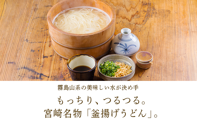 《ふるさとの高原の味》霧島の恵み! ごちそううどんセット[釜揚げうどん 万能味噌 ヒノヒカリ 鶏炭火焼 特産品詰合せ セット おかず おつまみ 贈り物 ギフト ワンストップオンライン 10000円以下] TF0858-P00008