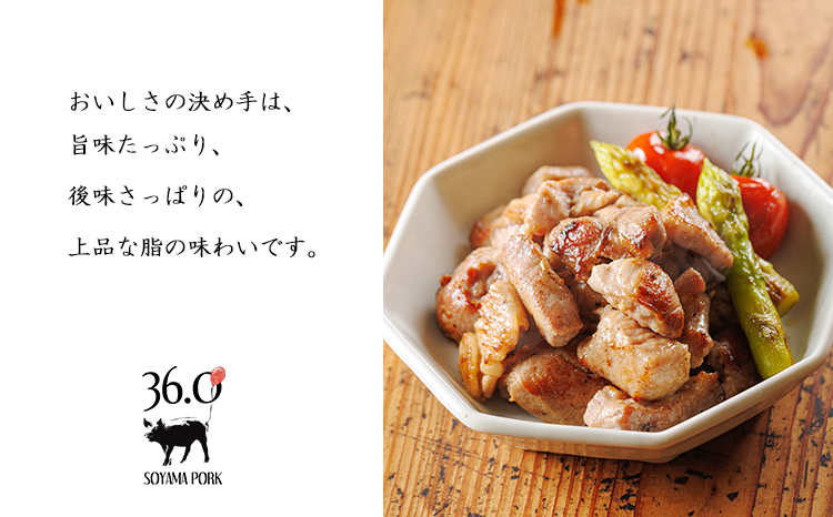 ソヤマポークの加工品詰め合わせ[ハム ステーキ ソーセージ 味噌漬け] TF862ｰP00078