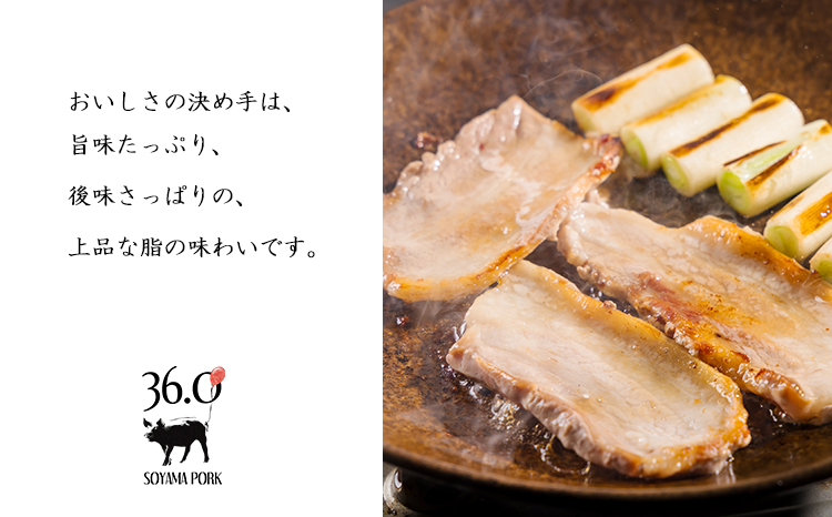 ソヤマポークの焼肉・炒め物セット[ロース バラ ステーキ ソーセージ ホルモン] TF863ｰP00078