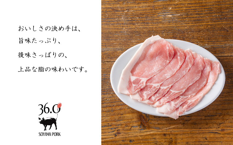 ソヤマポークのみそぶた堪能セットT[特製味噌漬け ロース モモ おかず お弁当] F866ｰP00078